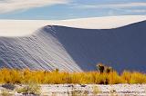 White Sands_31755